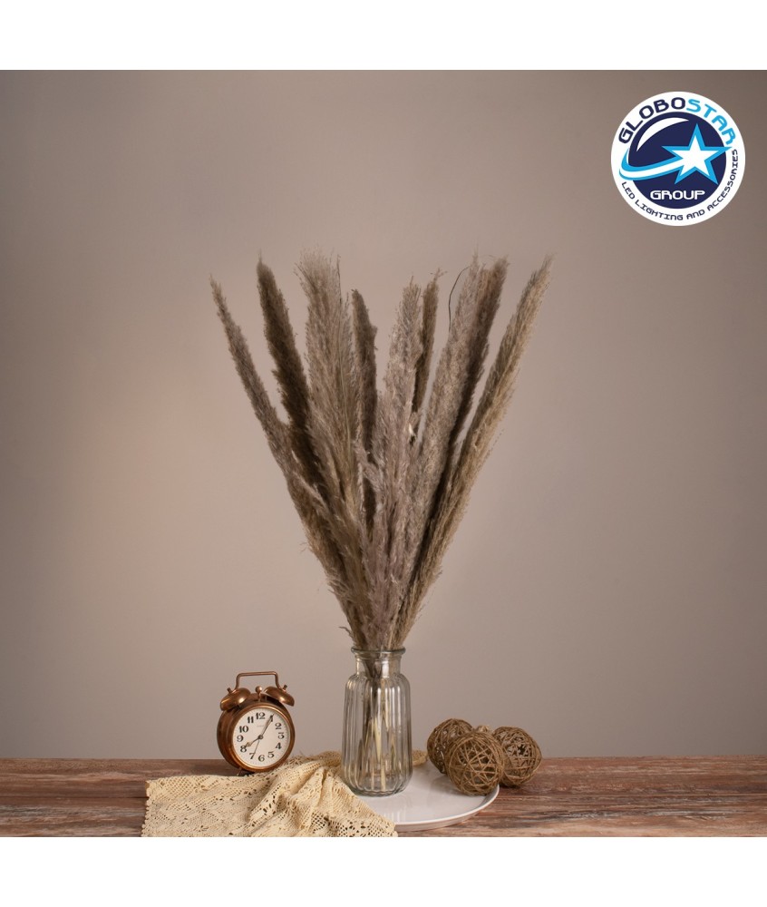 GloboStar® PAMPASGRASS 36511 Αποξηραμένο Φυτό Γρασίδι της Πάμπας - Μπουκέτο Διακοσμητικών Κλαδιών Καφέ - Γκρι Υ80cm - Σετ 10 τμχ